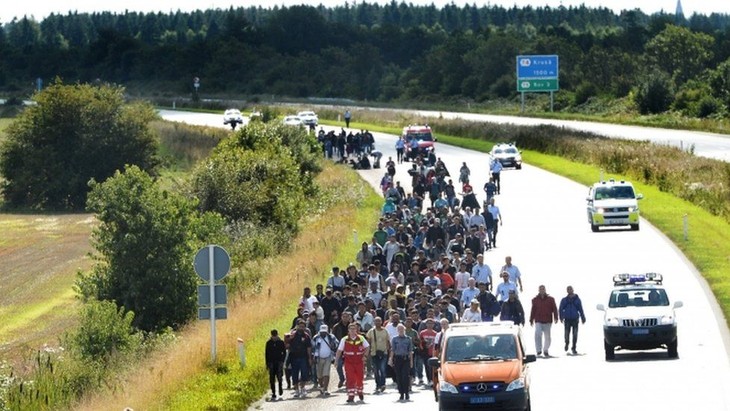 Migration wave poses serious challenges to Europe - ảnh 1